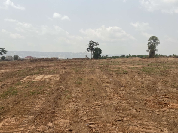 Land for sale at Amrahia